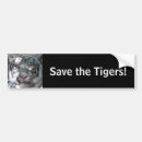 Sök efter tigre Människor (allmänt)