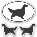 Sök efter engelsk setter Hund