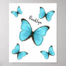 Sök efter morpho posters Butterfly