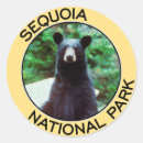 Sök efter sequoianationalpark Kalifornien