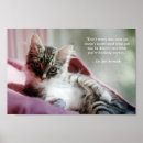 Sök efter gul katt posters Kattunge