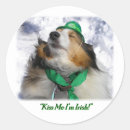 Sök efter irländare klistermärken Saint patrick's day