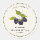 Sök efter vintage blackberry Björnbär