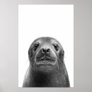 Sök efter lejont posters Väggkonst