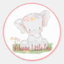 Sök efter elefant hobbymaterial Baby shower