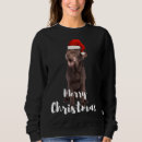Sök efter jul för labrador retriever Hämta
