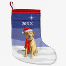 Sök efter jakt labrador Gul lab