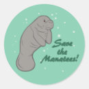 Sök efter manatee klistermärken Spara av manat