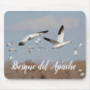 Sök efter apache musmattor Bosque del apache