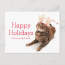 Sök efter katten avbildar Jul