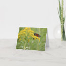 Sök efter milkweed kort Monarch
