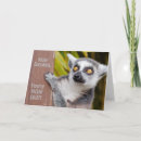 Sök efter lemurs kort För alla