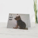 Sök efter yorkie fotografi Söt