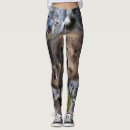 Sök efter koalabjörn kläder Djur