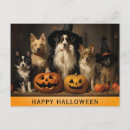Sök efter rolig lycklig orange vykort Halloween
