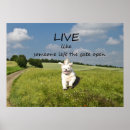 Sök efter gullig lycklig posters Hund