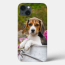 Sök efter beagle iphone fodral Djur