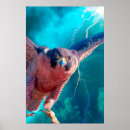 Sök efter falcone posters Falsk