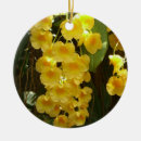 Sök efter orchids julgransprydnader Natur