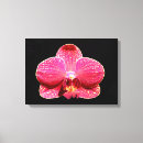 Sök efter rosa orchid konst Skriva