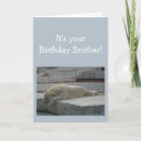 Sök efter rolig björn kort För honom