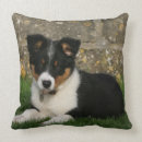 Sök efter vecka kuddar Valp