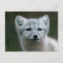 Sök efter image vykort Natur