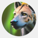 Sök efter hyena klistermärken Vild