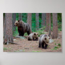 Sök efter finska posters Natur