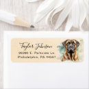 Sök efter mastiff Engelsk mastiff