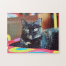 Sök efter cat fotografi Söt