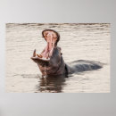 Sök efter mun fotografi Natur