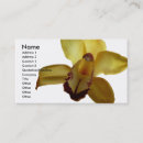 Sök efter gul orchid För alla