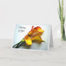 Sök efter tröst fotografi Blommor