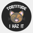 Sök efter haz Katt