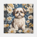 Sök efter min shih tzu magneter Söt