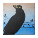 Sök efter avian Natur