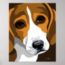Sök efter hundhund Beagle