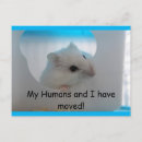 Sök efter hamster vykort Unik