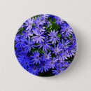 Sök efter daisy fotografi Natur