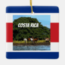 Sök efter rican flagga för costa Människor (allmänt)