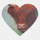 Sök efter ko hobbymaterial Boskap