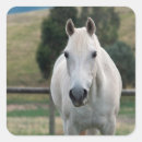 Sök efter horse klistermärken Vacker