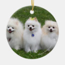 Sök efter pomeranian julgransprydnader Loulou
