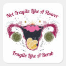 Sök efter feminist hobbymaterial Min kropp mitt val