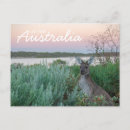 Sök efter kärlek australien Kangaroo