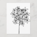 Sök efter svartvita blommor vykort Botaniskt