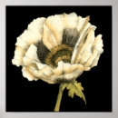 Sök efter poppy posters Blomma