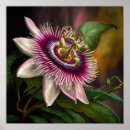 Sök efter rosa passion posters Blommigt