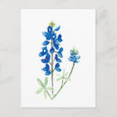Sök efter bluebonnet vykort Blommigt